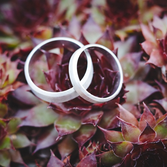 Adea - Alliances biseautées